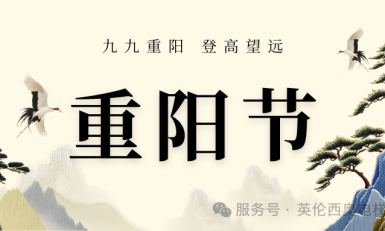 岁岁重阳，今又重阳：这抹温暖，藏着中国人最深的牵挂